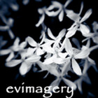 evimagery