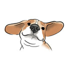 HeroBeagle