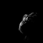 lost-in-black