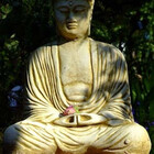 Redbubble profile picture for @Buddha