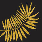 Oksanadesign