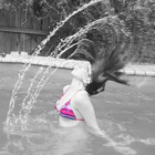 elliegracee