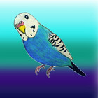 parakeetart