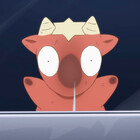 OctopusDandy