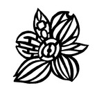 IcontaKT