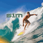 S1M-PdT