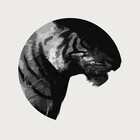 AnimalArtPrints