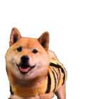macgeorgey