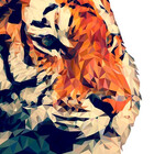 SilkTiger