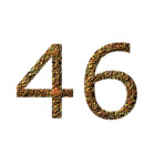 Bayo46