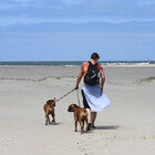 travelboxer