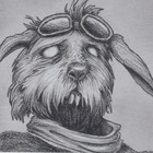 zawackiart