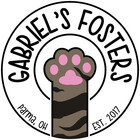 gabrielsfosters
