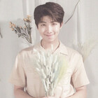 goldentaekook