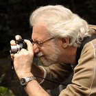PierreFrigon