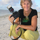 KarenGerhard