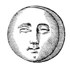 shadroe