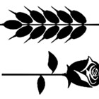 bread-and-roses