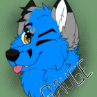 GaugeFox