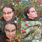 BirdGlamour