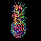 TropicalMorris
