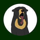 studiosunbear