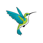 greenhumbirdcre