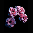 LuxeBouquet