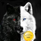 RyKoZa