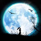 Mystic-Land