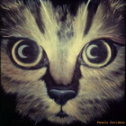 Hauntedtiger