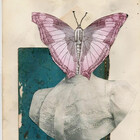 butterflymadame
