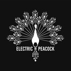 electricpeacock