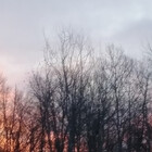 Athnekut