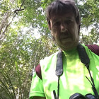 Forestpictures