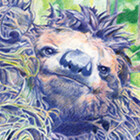 BananazGorilla