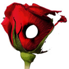 H0110wPeTaL