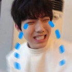 kevkpopfanboy