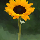 Redbubble profile picture for @tryouts