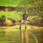 timfoster