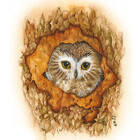 DonnaMarieArt