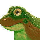 DigiFrgletDgns