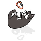 climbingcatt