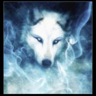 spiritwolf