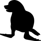sealdesign