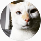 Peechowspets