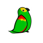 psittacidart