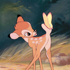 hunnybambi