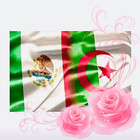 cris224