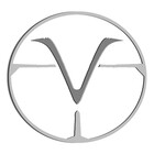vanishedtwin